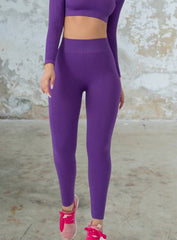 VESTA - HYDRAFIT RIBBED SEAMLESS LEGGING - PURPLE - VECTOR SPORTSWEAR