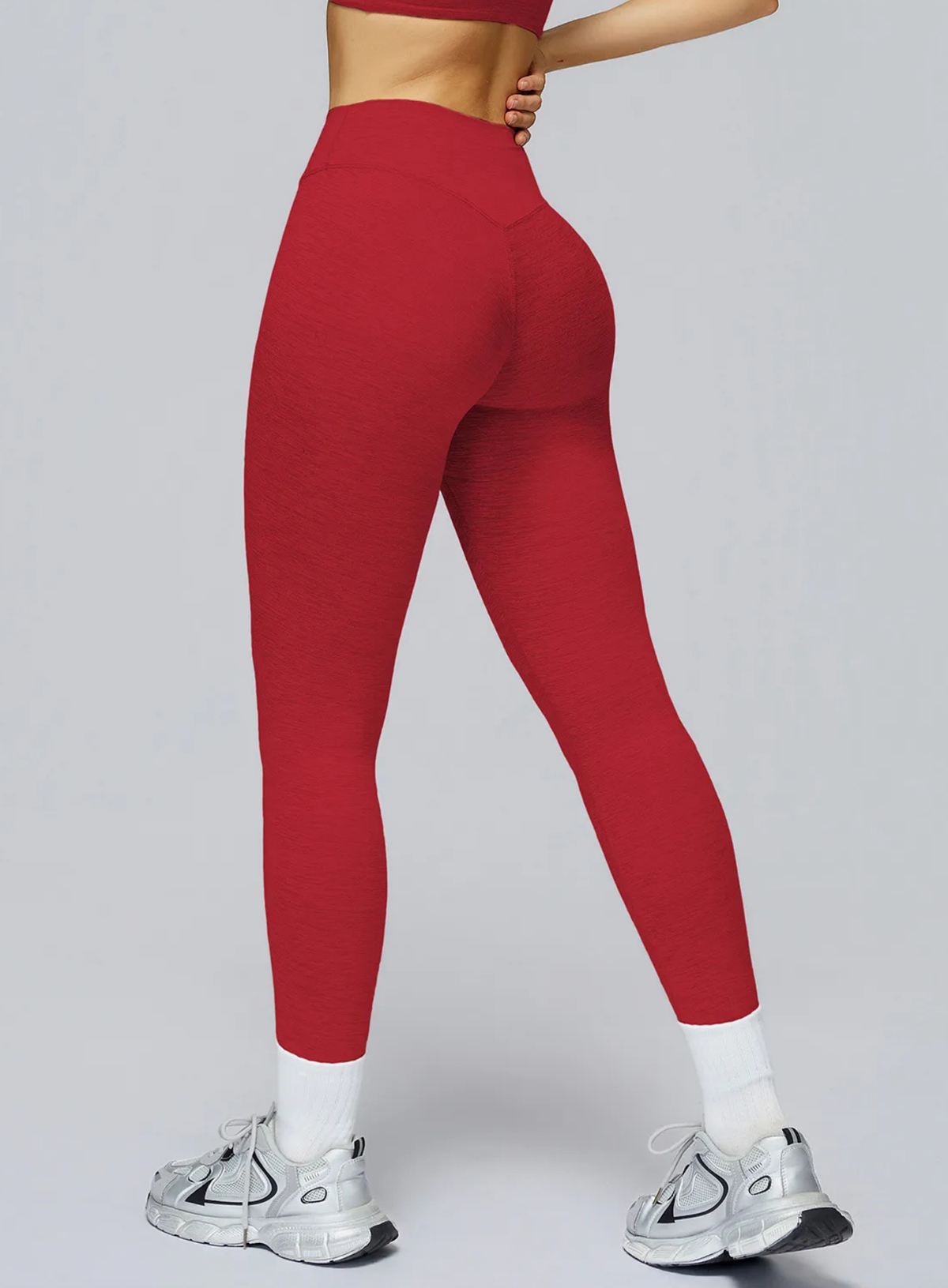 Women's seamless brushed high-waisted leggings with sculpt fit, designed for training and yoga | Vectorsportswear Main image