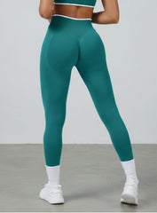 SculptCurve - HydraFit Seamless Legging - Green - VECTOR SPORTSWEAR