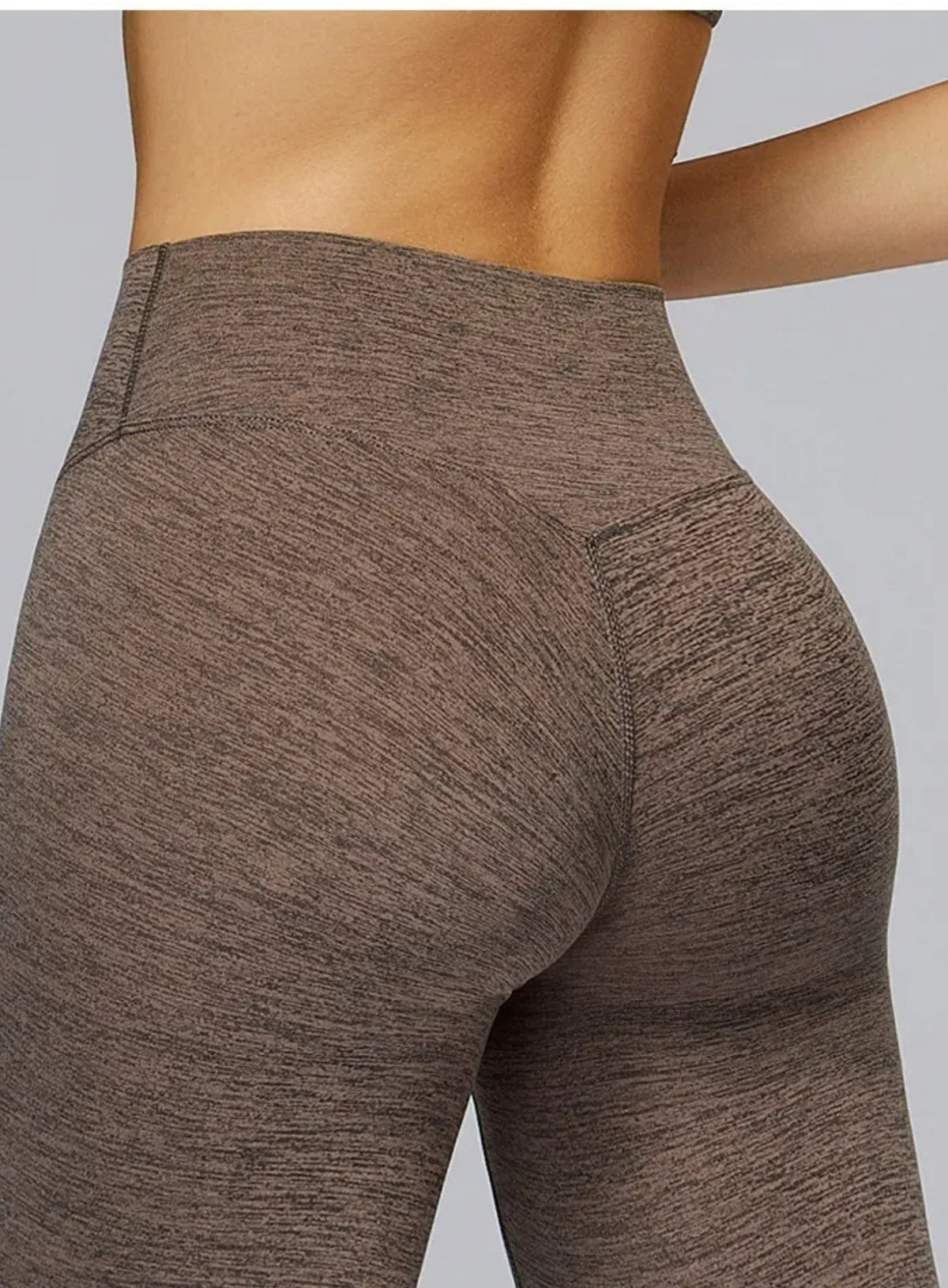 Women's seamless brushed high-waisted leggings with sculpt fit, designed for training and yoga | Vectorsportswear
