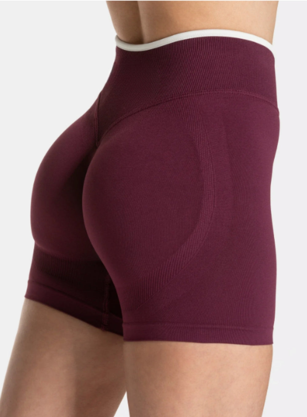 SculptCurve HydraFit Seamless Training Shorts – Maroon - VECTOR SPORTSWEAR
