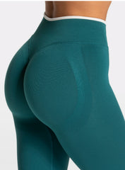 SculptCurve - HydraFit Seamless Legging - Green - VECTOR SPORTSWEAR